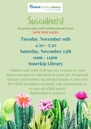 INN - Succulents - W
